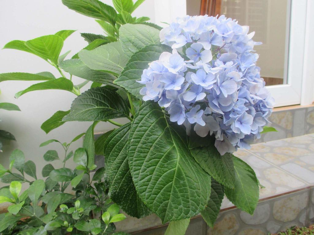 Manh Duyen Garden Homestay Phu Quoc Extérieur photo