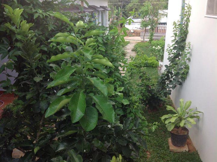 Manh Duyen Garden Homestay Phu Quoc Extérieur photo