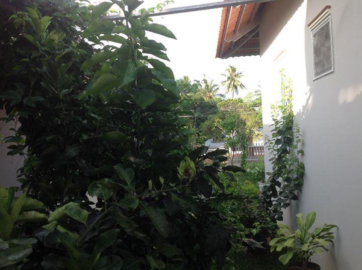 Manh Duyen Garden Homestay Phu Quoc Extérieur photo