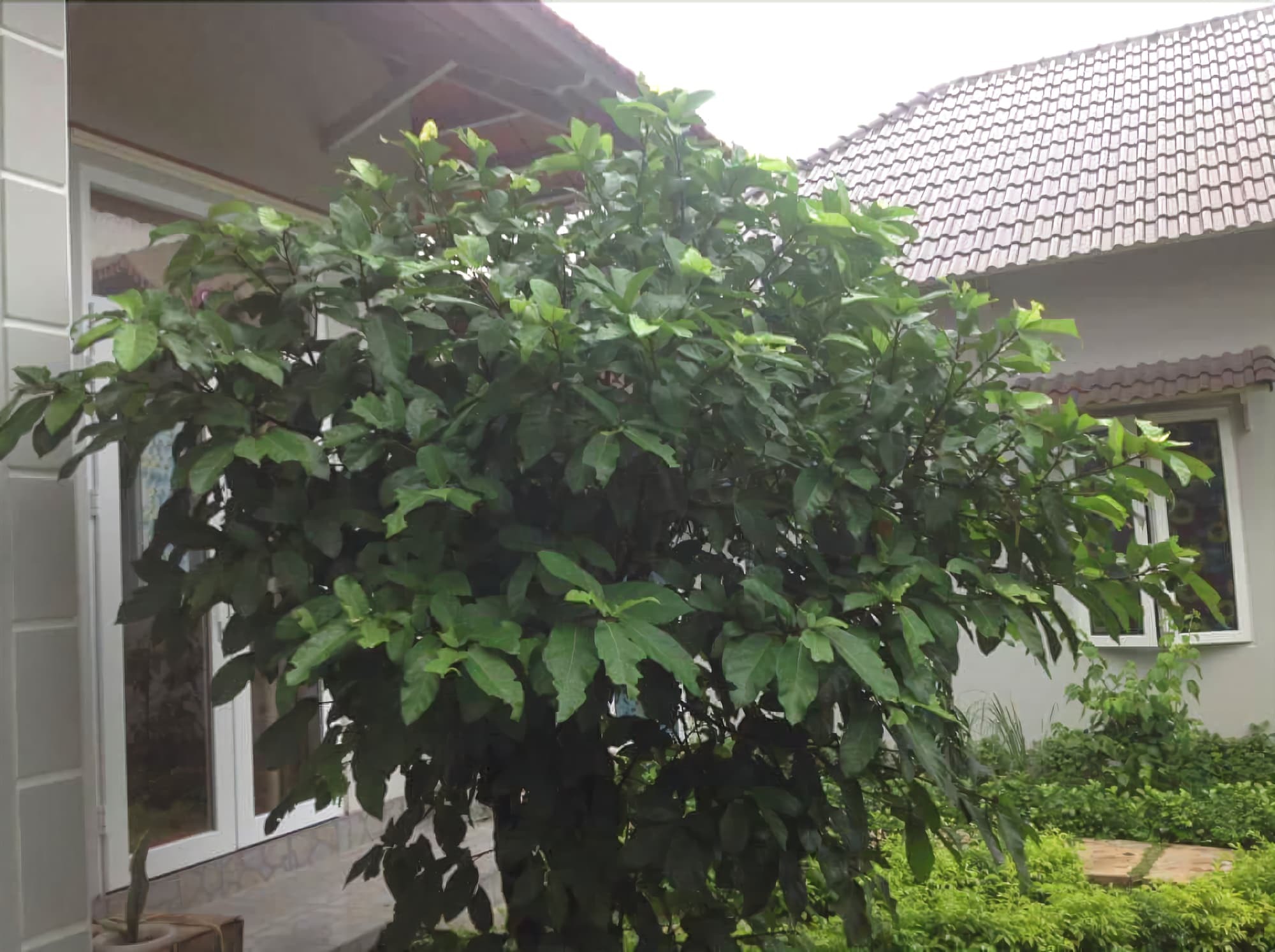 Manh Duyen Garden Homestay Phu Quoc Extérieur photo